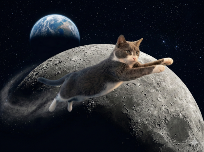 Cat flying from the moon out into space